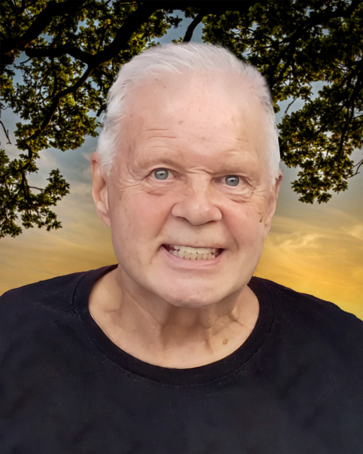 M. Normand LABERGE