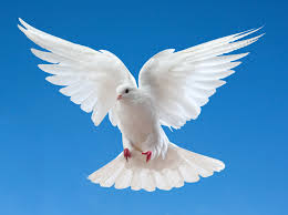 Gérard-Bertrand BOUCHARD