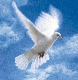 Aro Ny Sao RAMAROSON