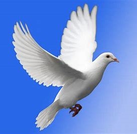 Mme Françoise Tremblay BELLEY