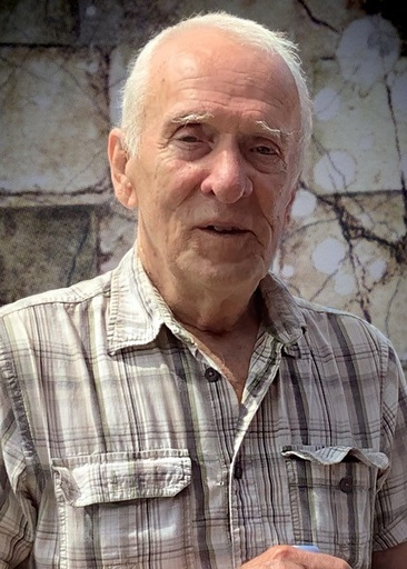 M. Jacques VILLENEUVE